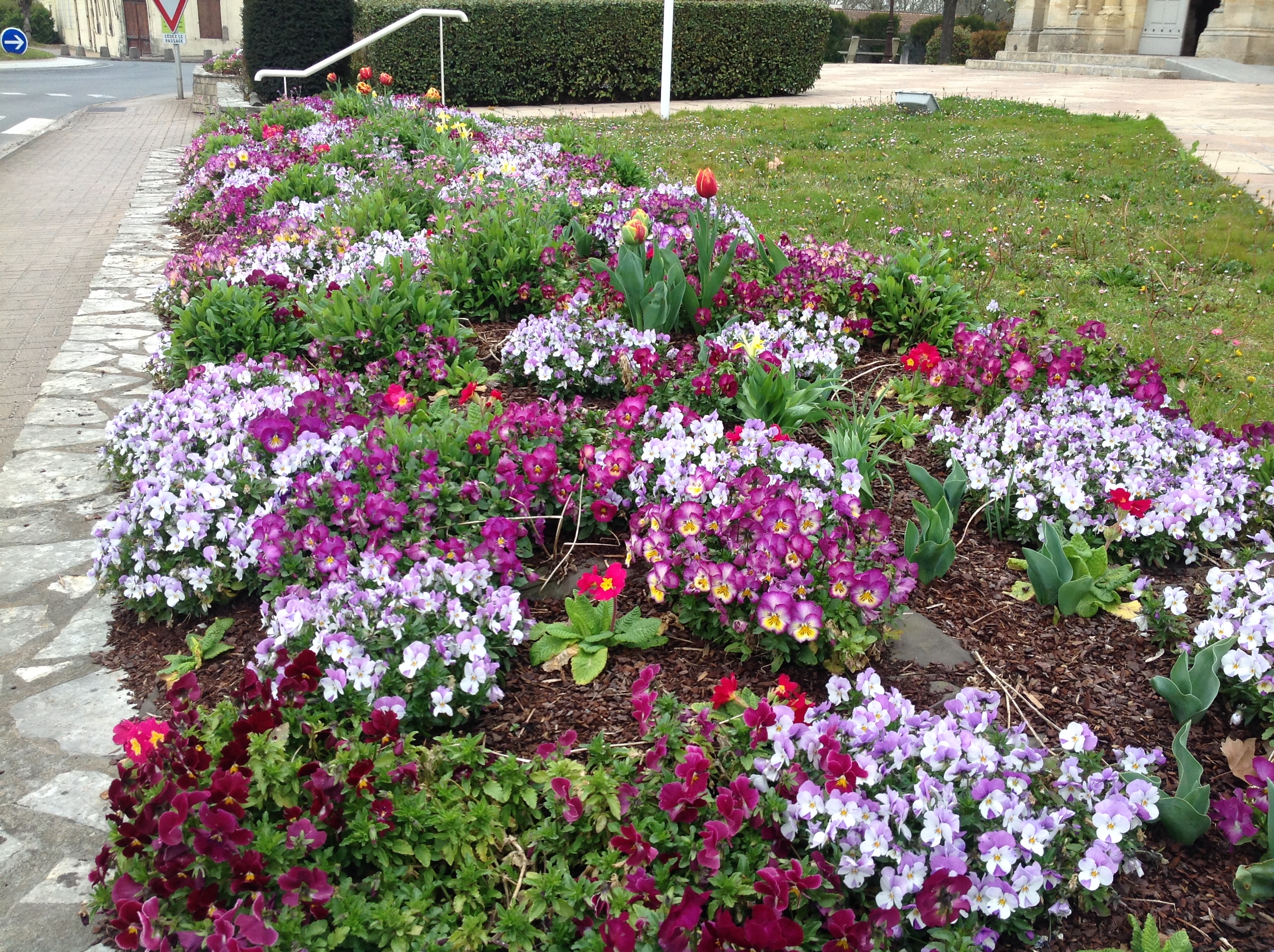  TAPIS  DE FLEURS 